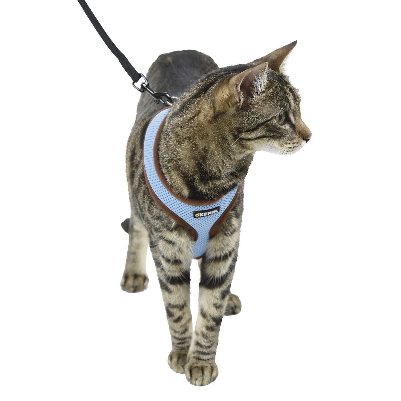 Katzengeschirr Active mit Leine Bild 4