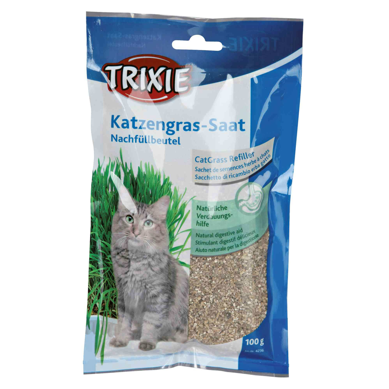 Katzengras Bild 4