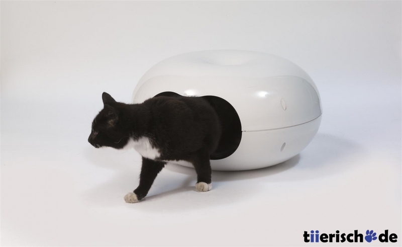 Katzenhaus Doonut Bild 3