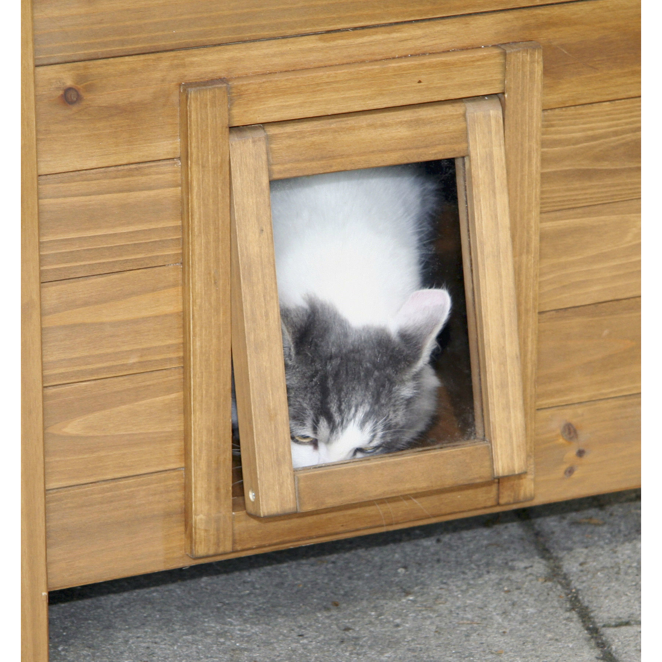 Katzenhaus LODGE Bild 4