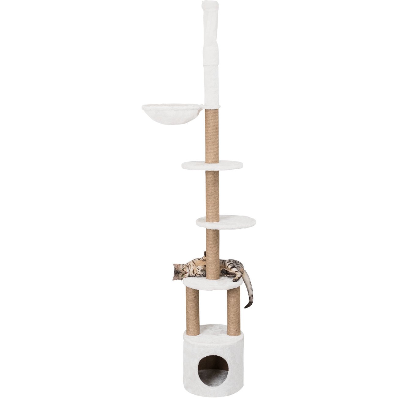 Katzenkratzbaum Aurelio Bild 4