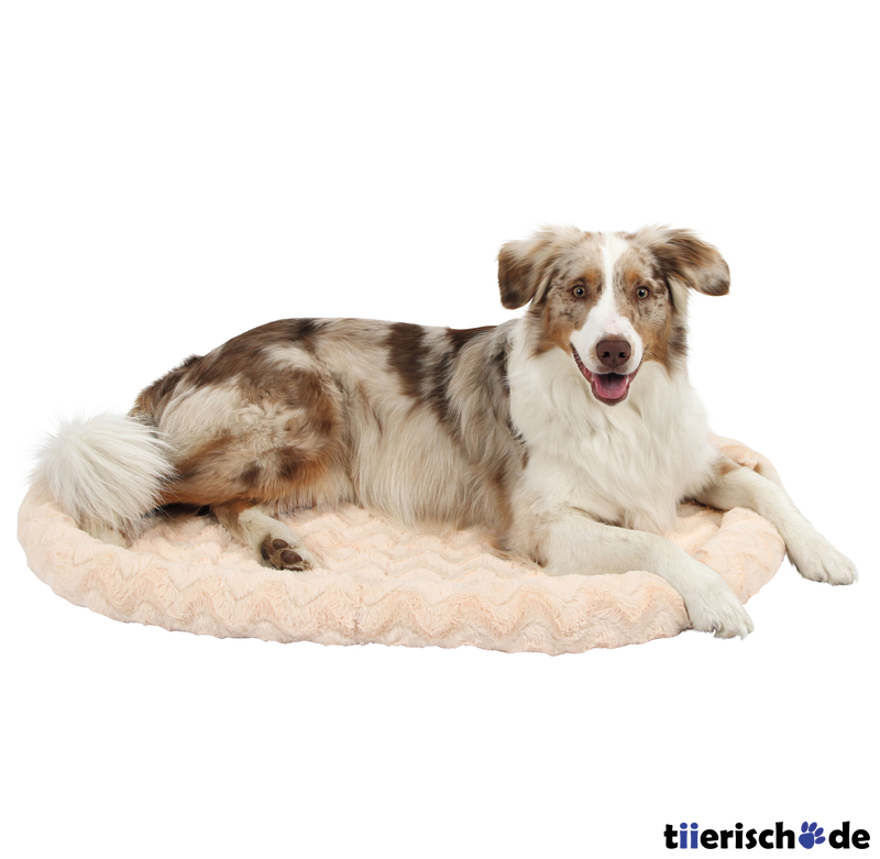 Katzenkuschelbettchen Bild 7