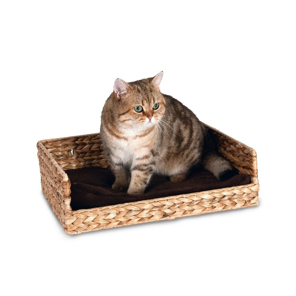 Katzenliege zur Wandbefestigung Banana Leaf Bild 2