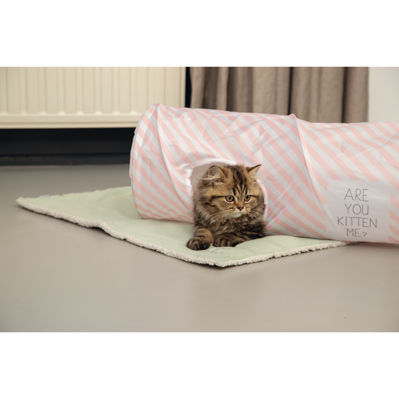 Katzenliegedecke Tilou Bild 3