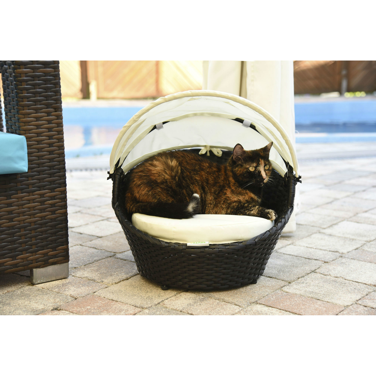 Katzenlounge Chillout Bild 6