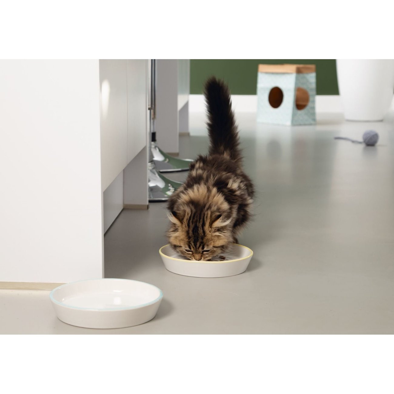 Katzennapf Zina Bild 4