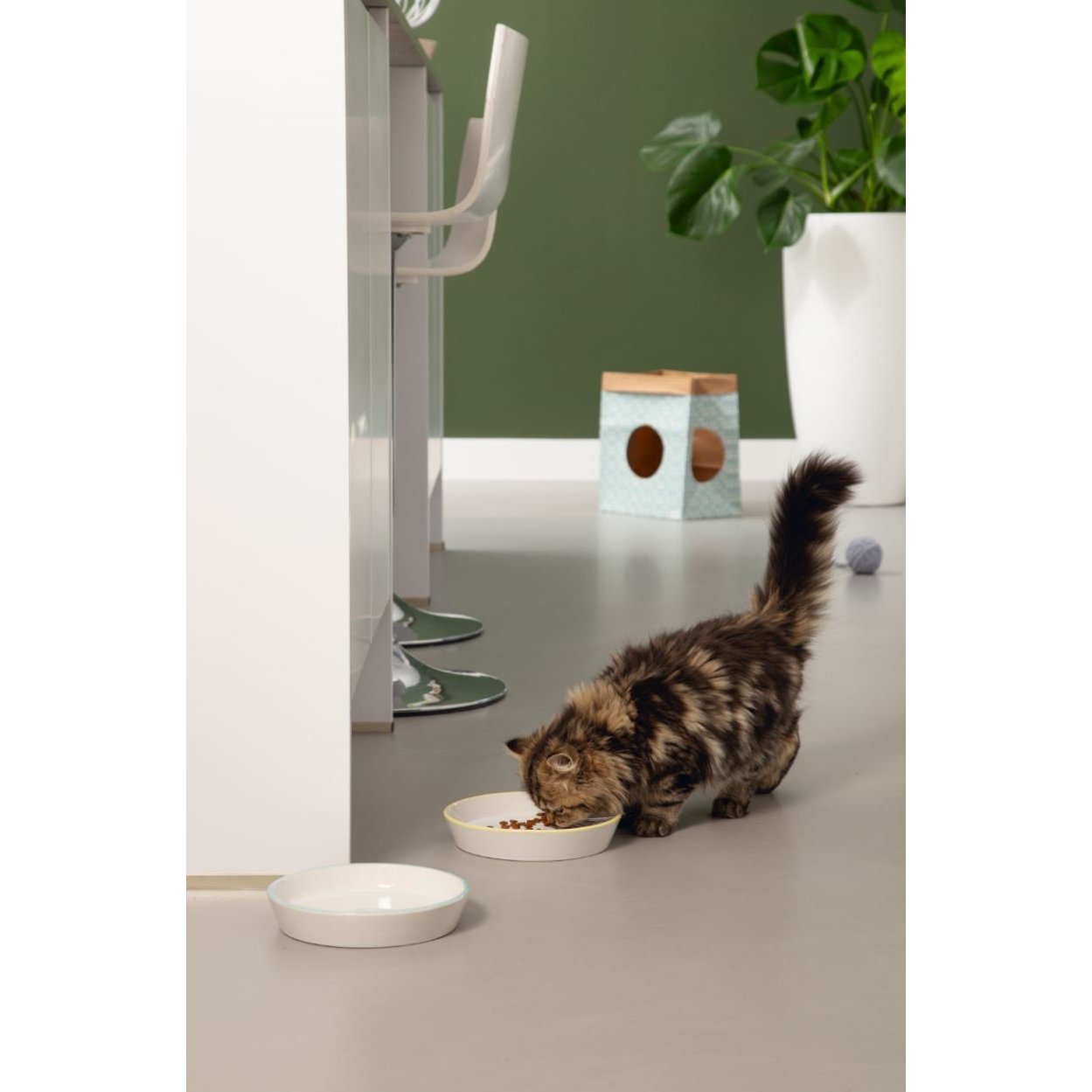 Katzennapf Zina Bild 5