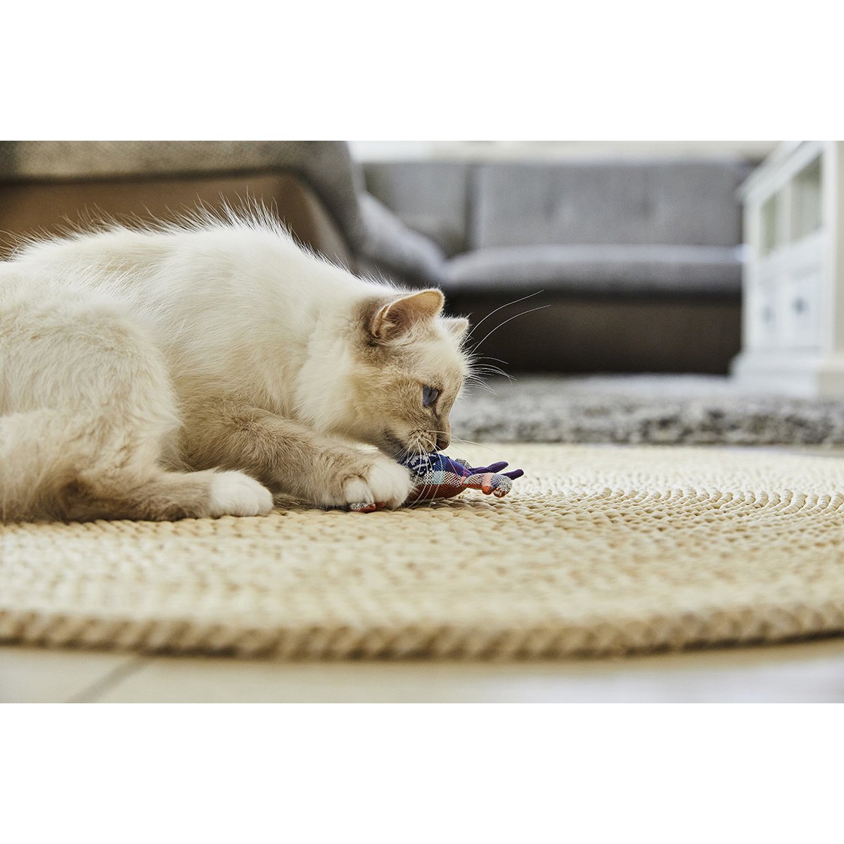 Katzenspass Spielzeug mit Baldrian Bild 9