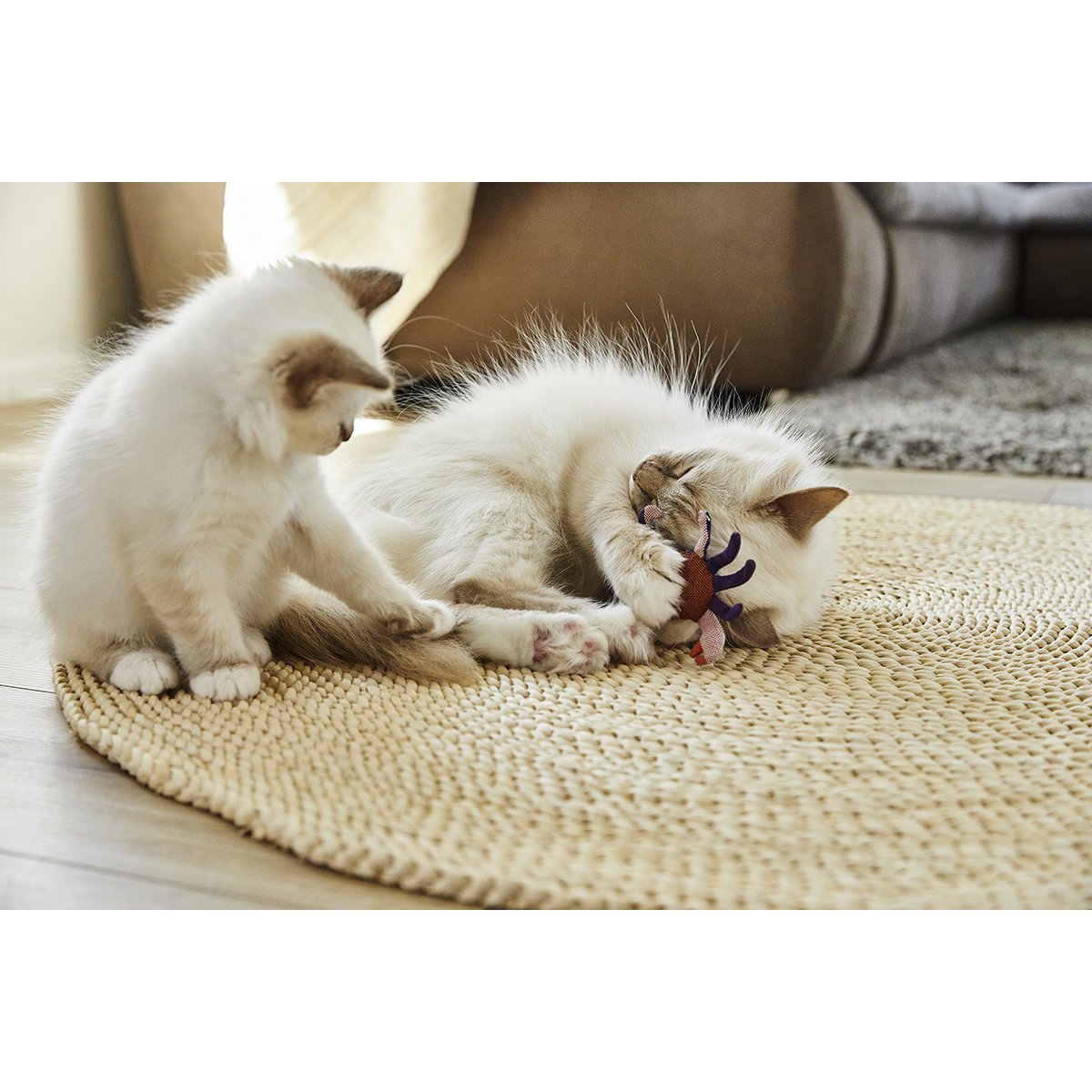 Katzenspass Spielzeug mit Baldrian Bild 10