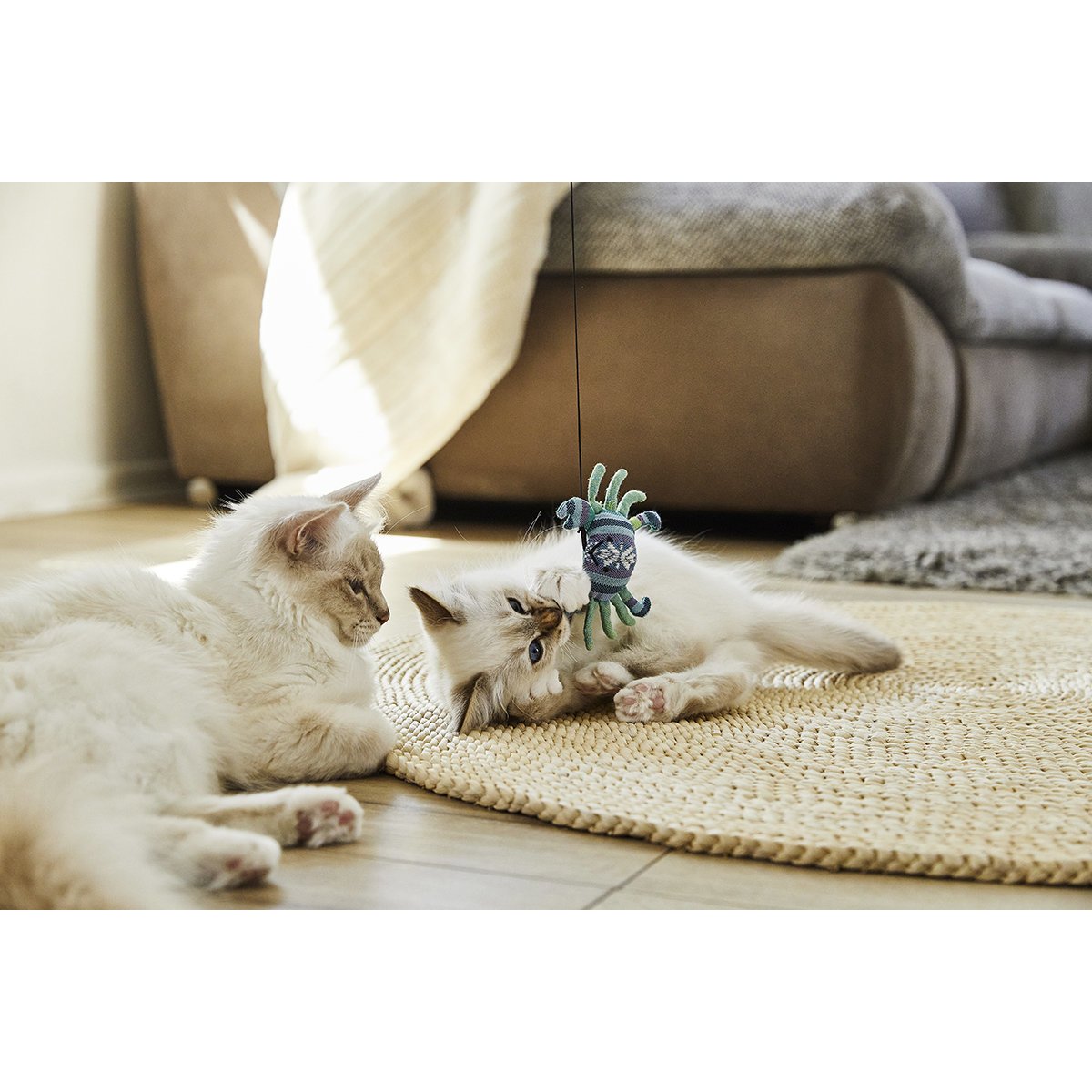 Katzenspass Spielzeug mit Baldrian Bild 2