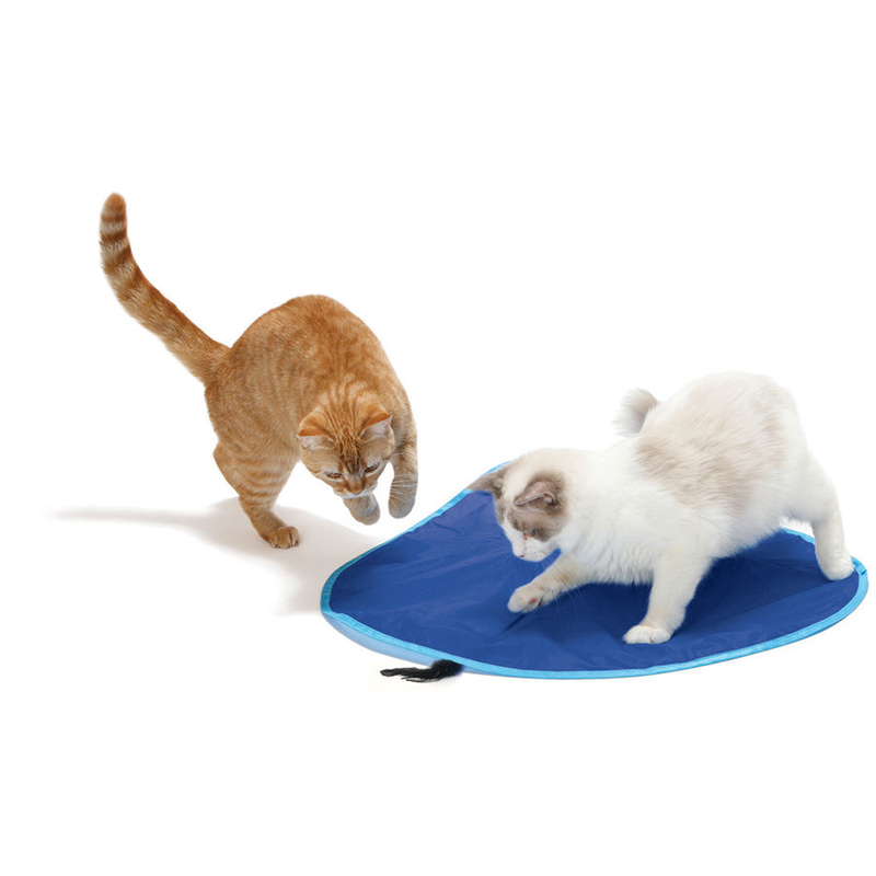 Katzenspiel Catch Me If You Can Bild 3