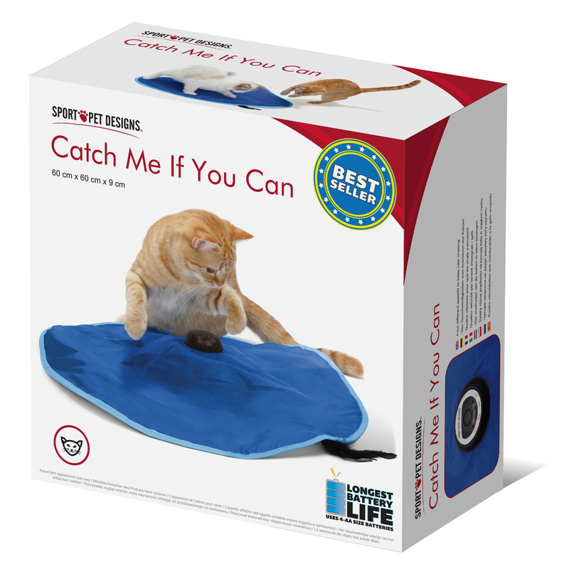 Katzenspiel Catch Me If You Can Bild 4