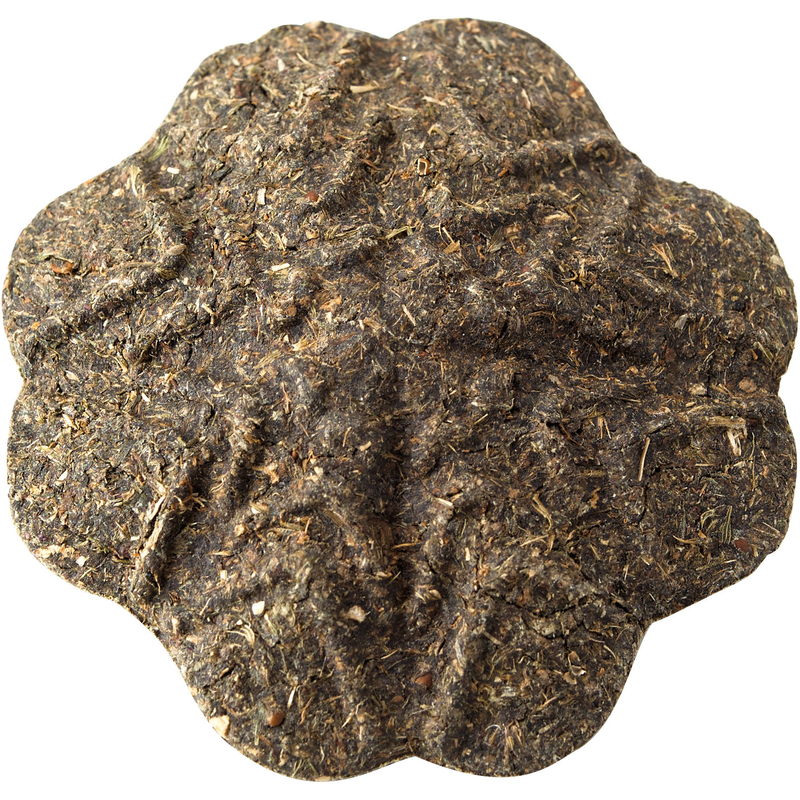 Katzenspielzeug Catnip Bild 2