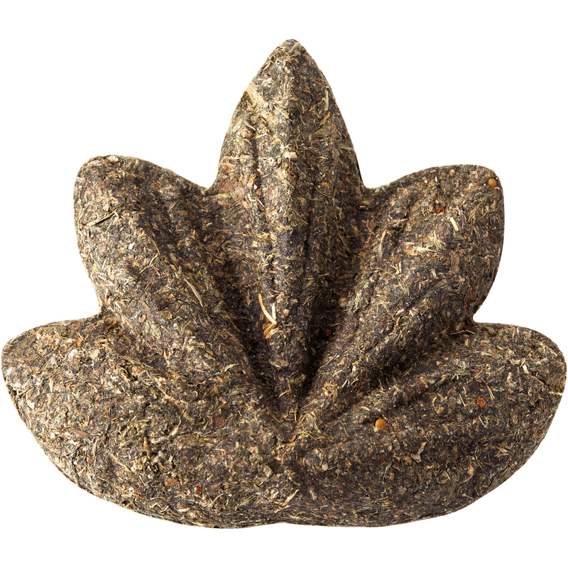 Katzenspielzeug Catnip Bild 1