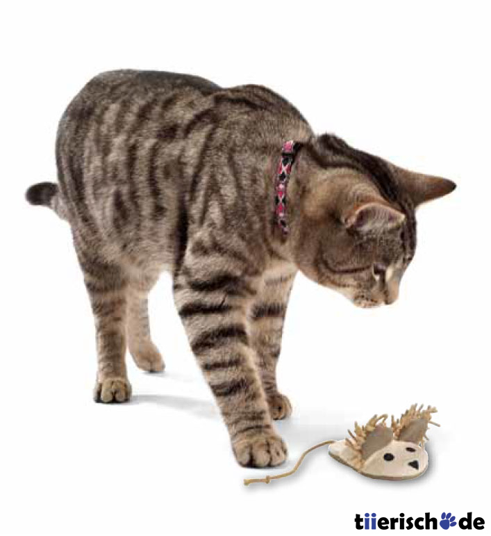 Katzenspielzeug Leinen Bild 3