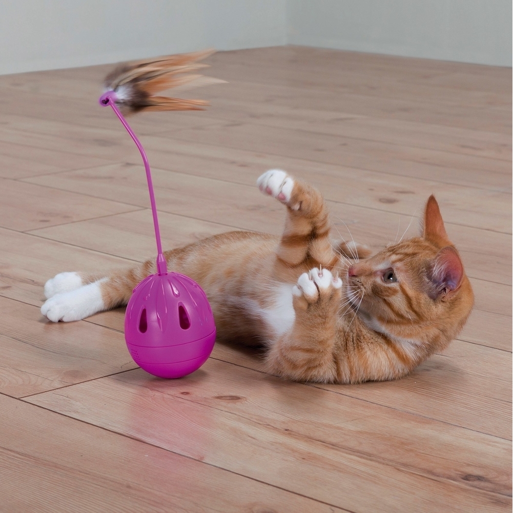 Katzenspielzeug Steh-Auf-Ei mit Federn und Sound Bild 3