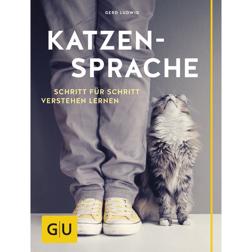 Katzensprache Schritt für Schritt verstehen lernen Bild 1