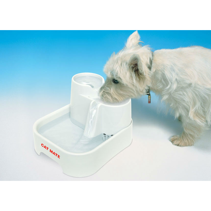 Cat Mate Haustierquelle Trinkbrunnen für Hunde und Katzen Bild 4