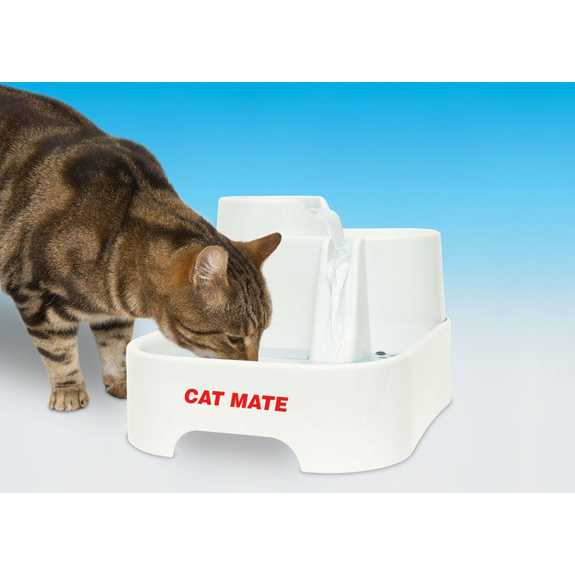 Cat Mate Haustierquelle Trinkbrunnen für Hunde und Katzen Bild 5