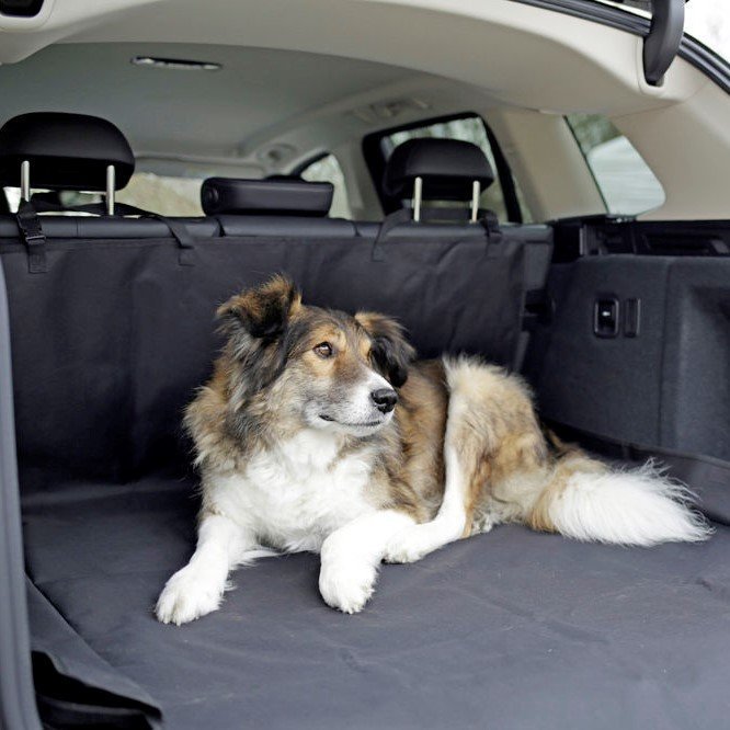 Auto Schondecke für Kofferraum Economy Bild 2