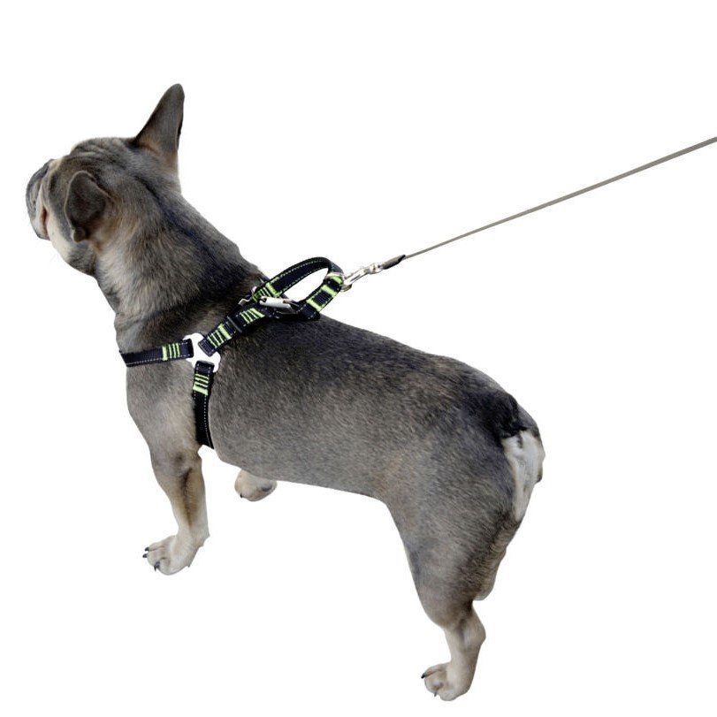 Auto Sicherheitsgeschrirr für Hunde Bild 3