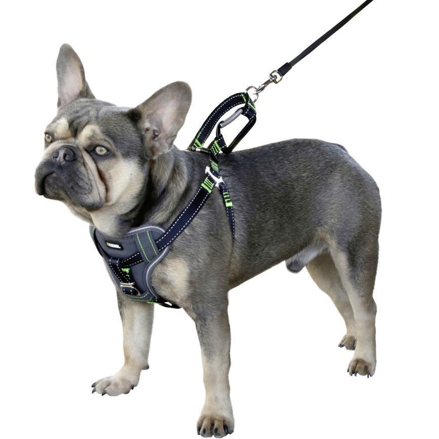 Auto Sicherheitsgeschrirr für Hunde Bild 8