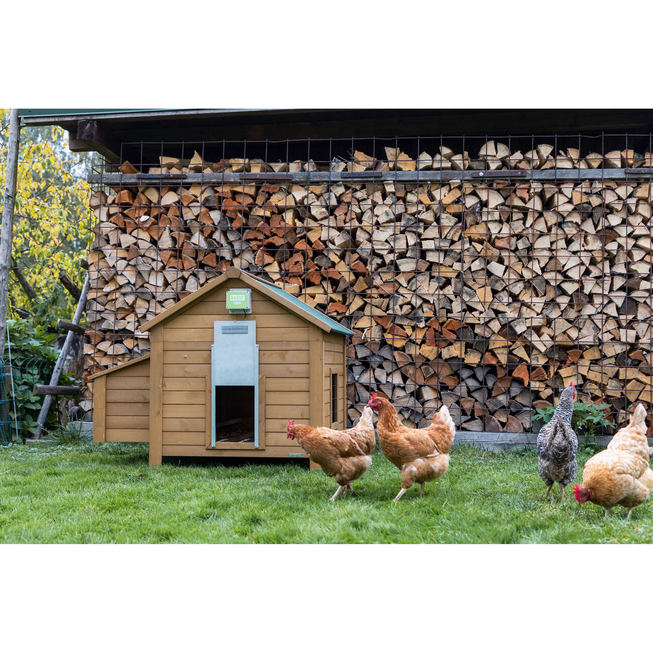 Basic Steuerung für Automatische Hühnertür Bild 4