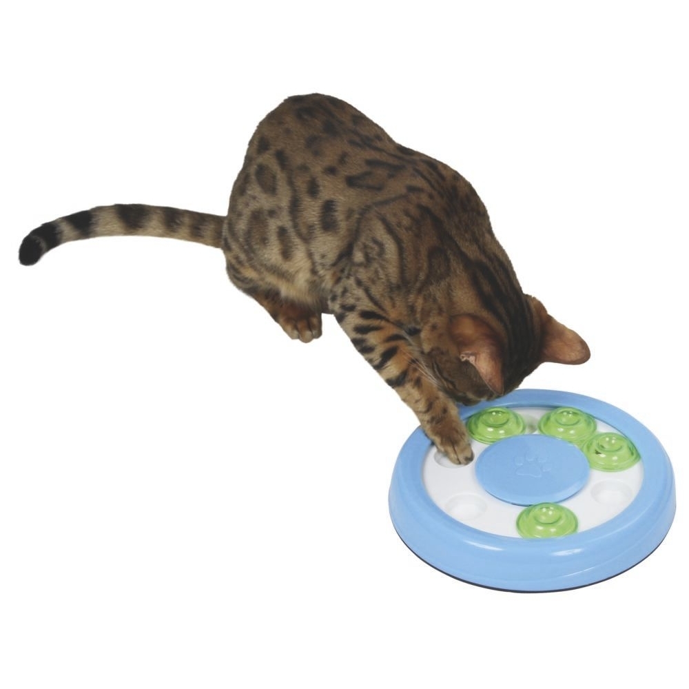 Kerbl Denk- & Lernspielzeug Paw für Katzen Bild 3