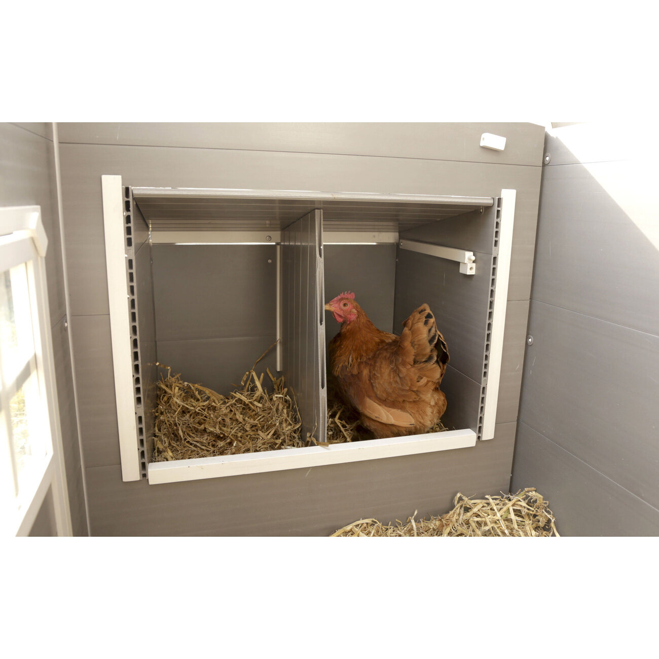 ECO Kunststoffstall Hühnerstall Barney Bild 4
