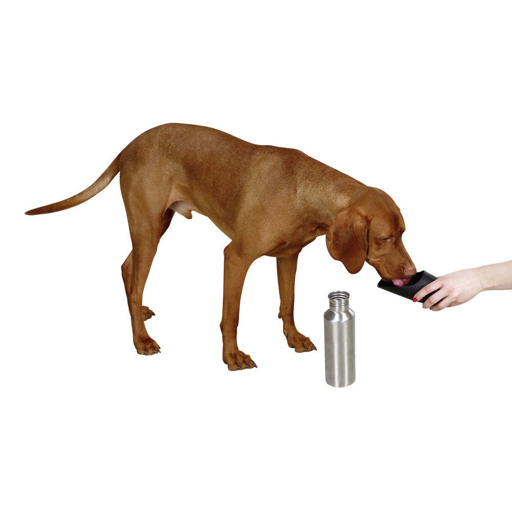 Edelstahl Reisetrinkflasche für Hunde Bild 2