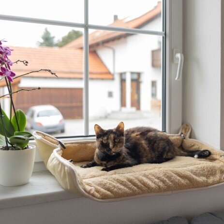 Fensterliegekissen zum Hochklappen Bild 2