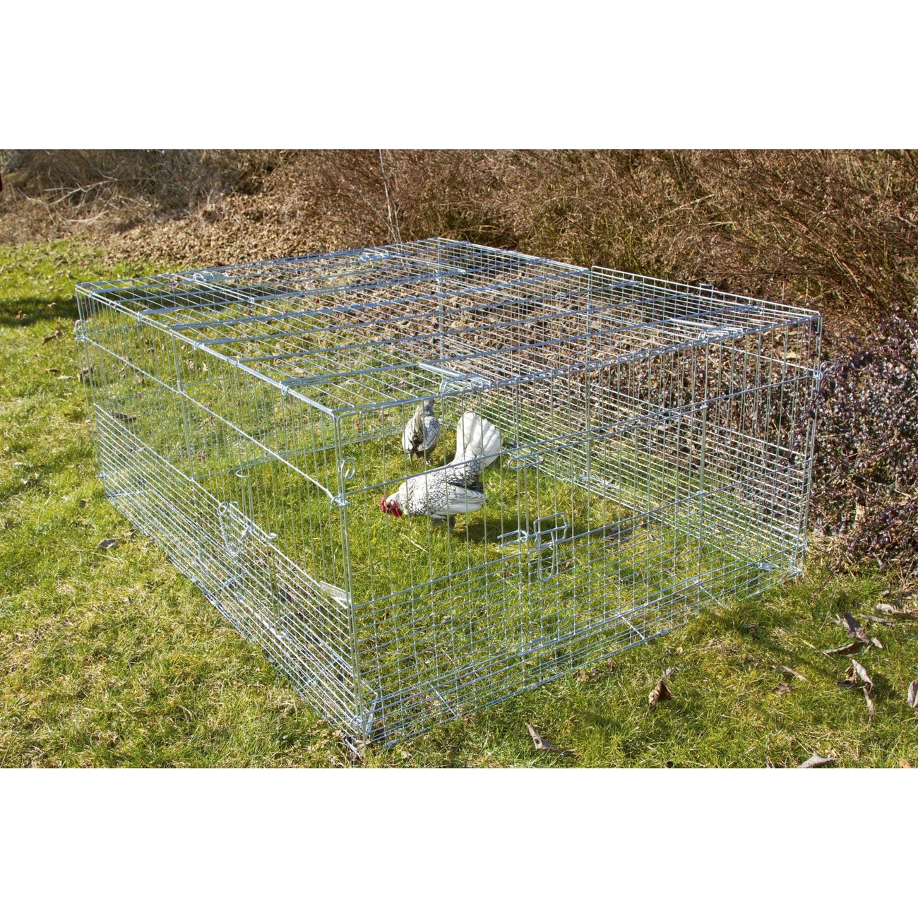 Kerbl Freilaufgehege mit Ausbruchsperre für Jungtiere Bild 2