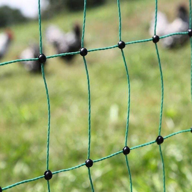 Geflügelnetz PoultryNet Bild 4