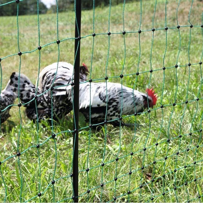 Geflügelnetz PoultryNet Bild 5