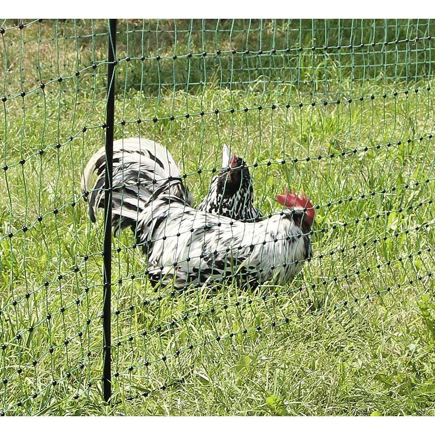Geflügelnetz PoultryNet Bild 6