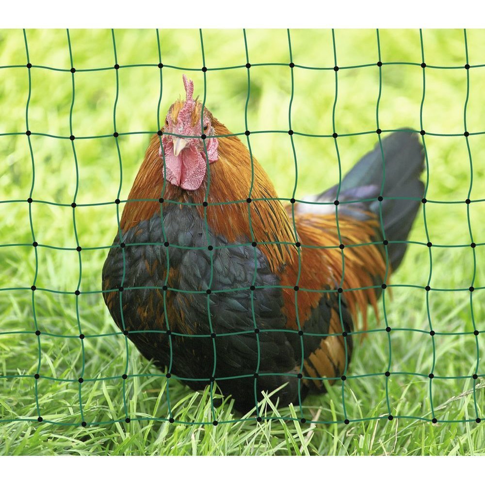 Geflügelnetz PoultryNet Bild 8