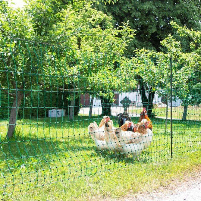 Geflügelnetz PoultryNet Bild 9