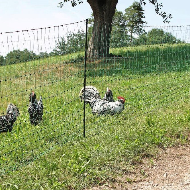 Geflügelnetz PoultryNet Bild 10