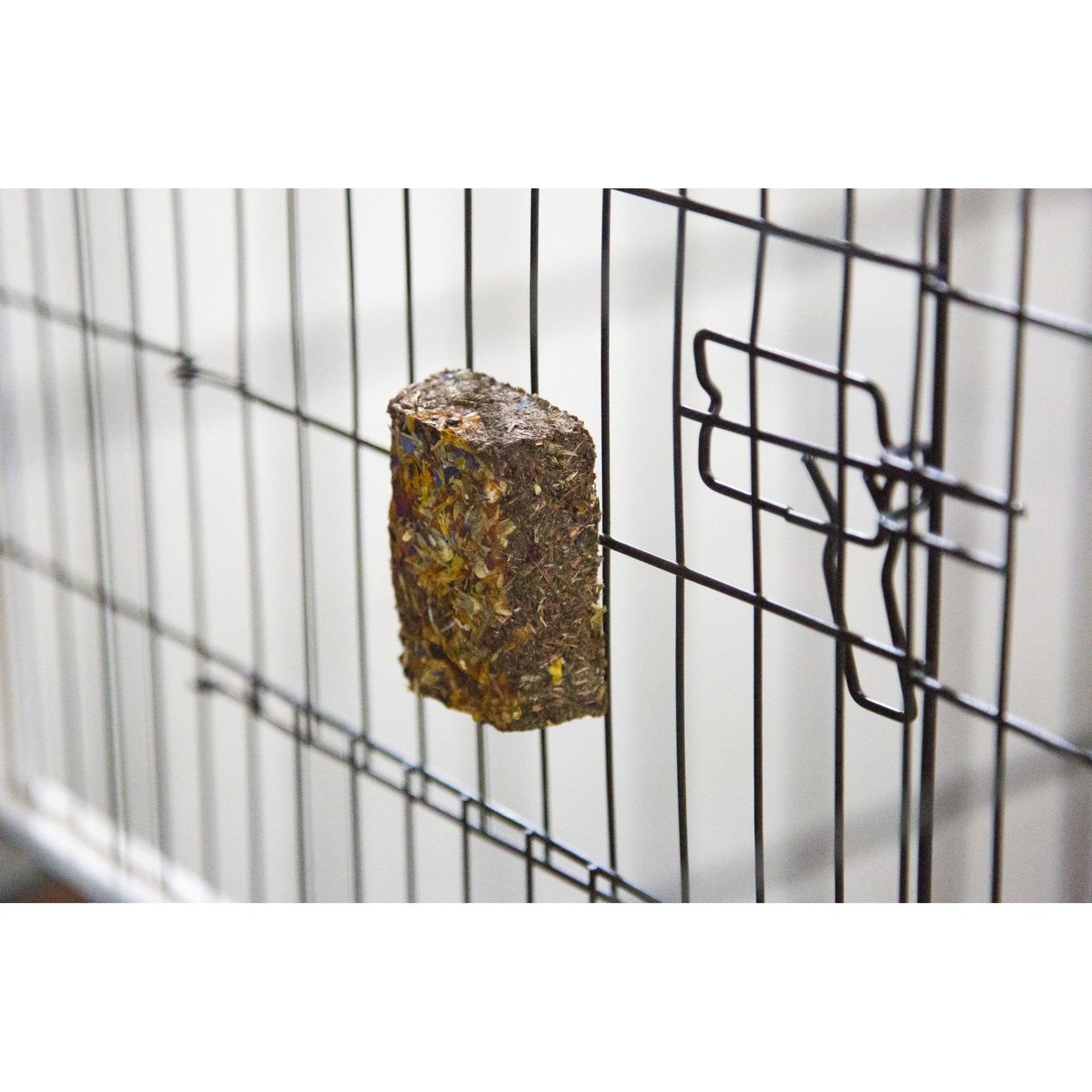 Heu Nagerstein Bild 2