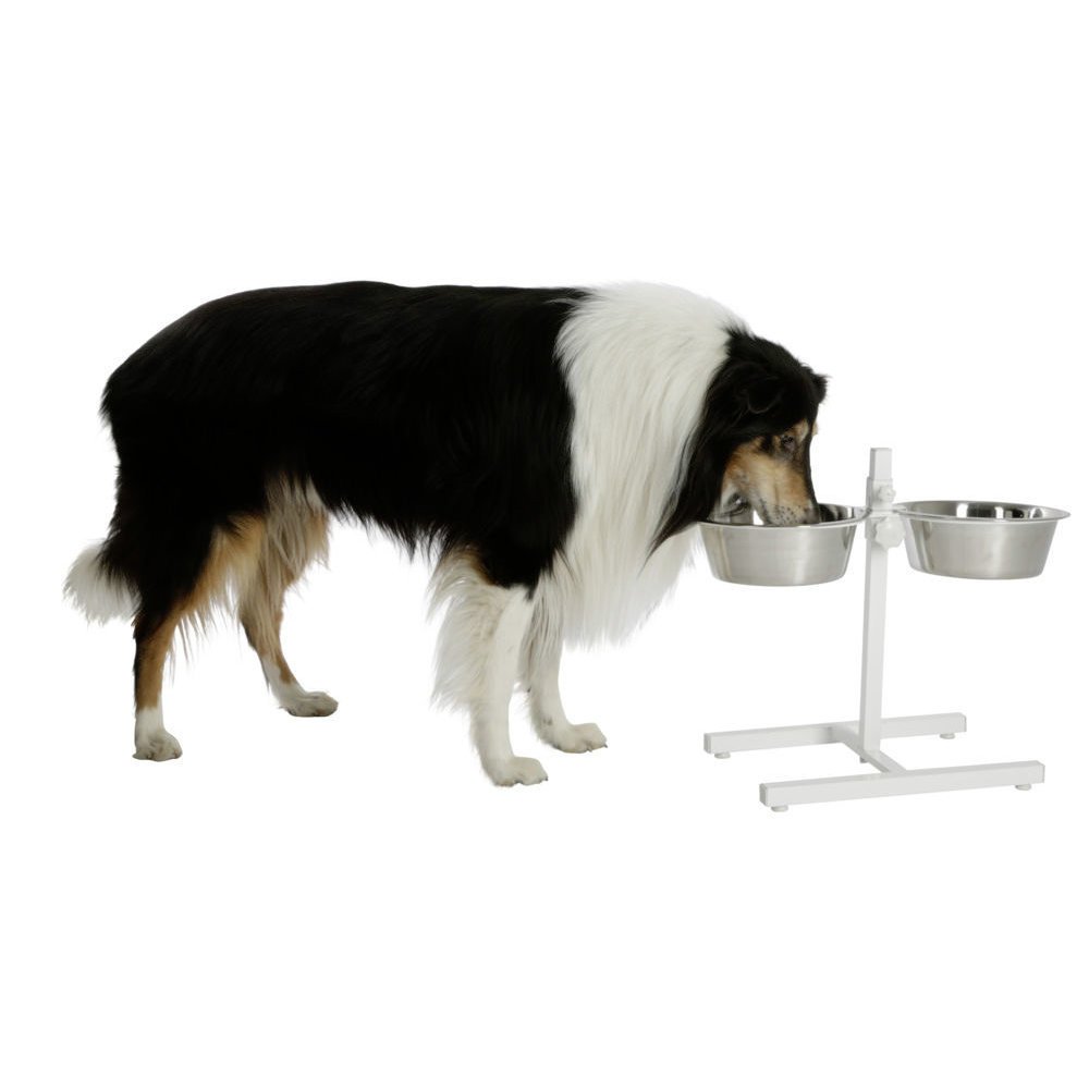 Höhenverstellbarer Hundenapf Bild 2