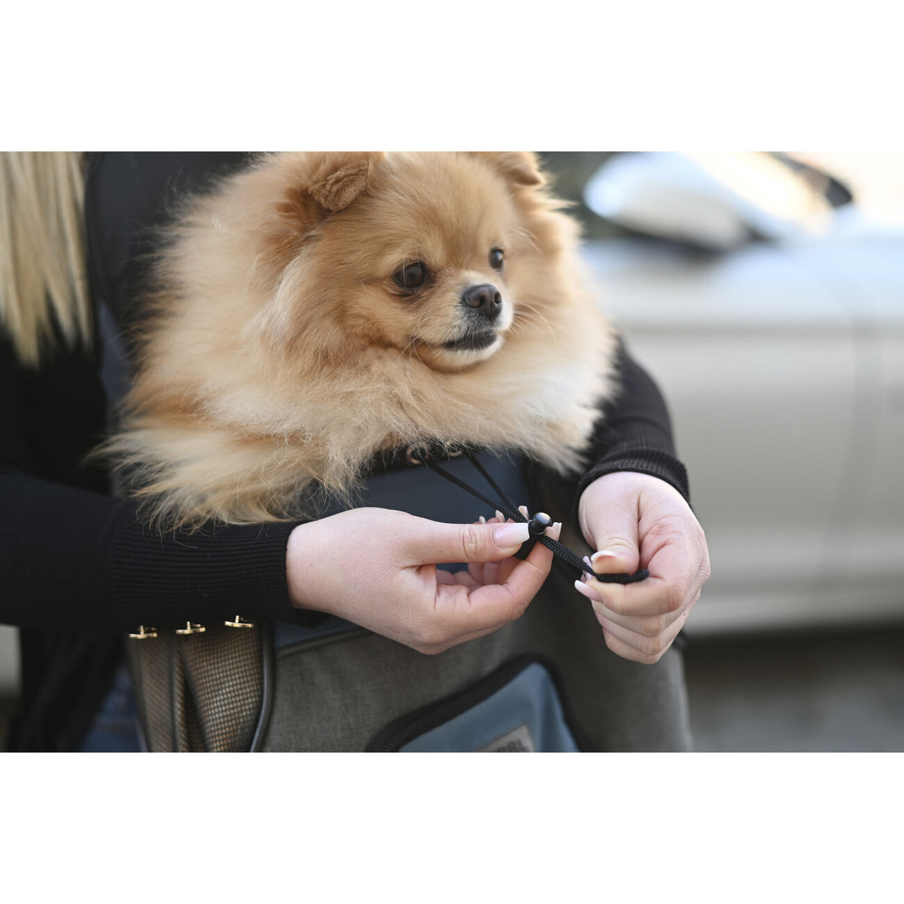 Hunde Bauchtasche Fronttragetasche Vacation Bild 4