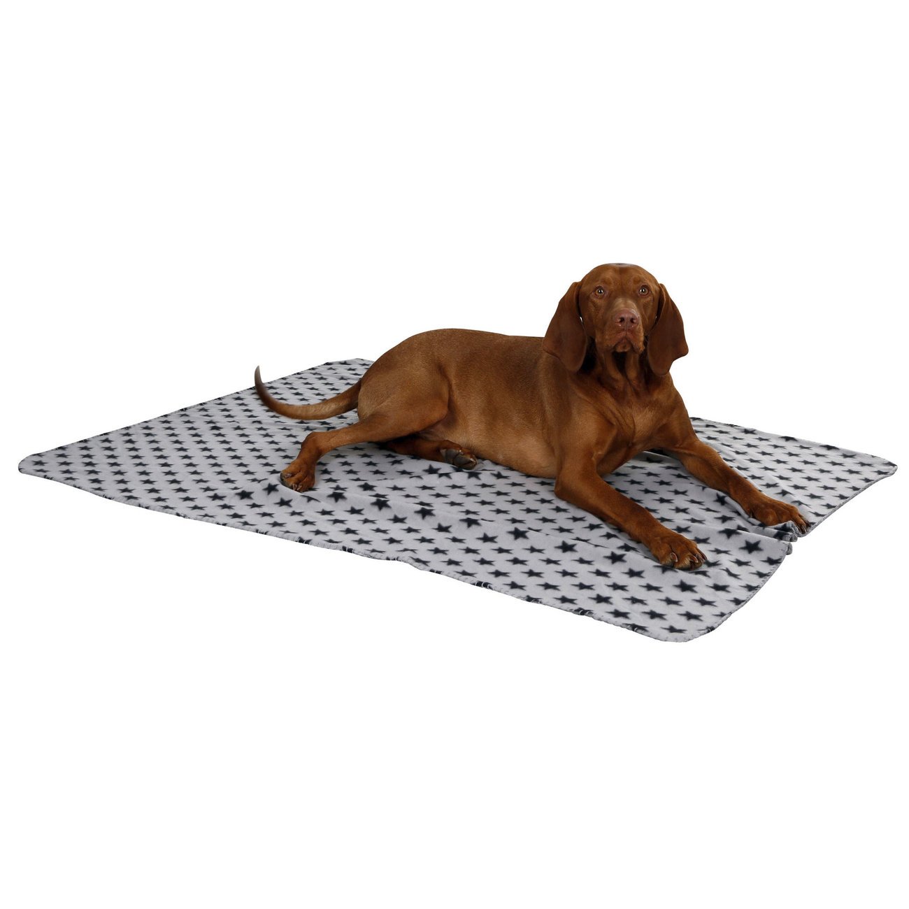 Hundedecke Stella Bild 3