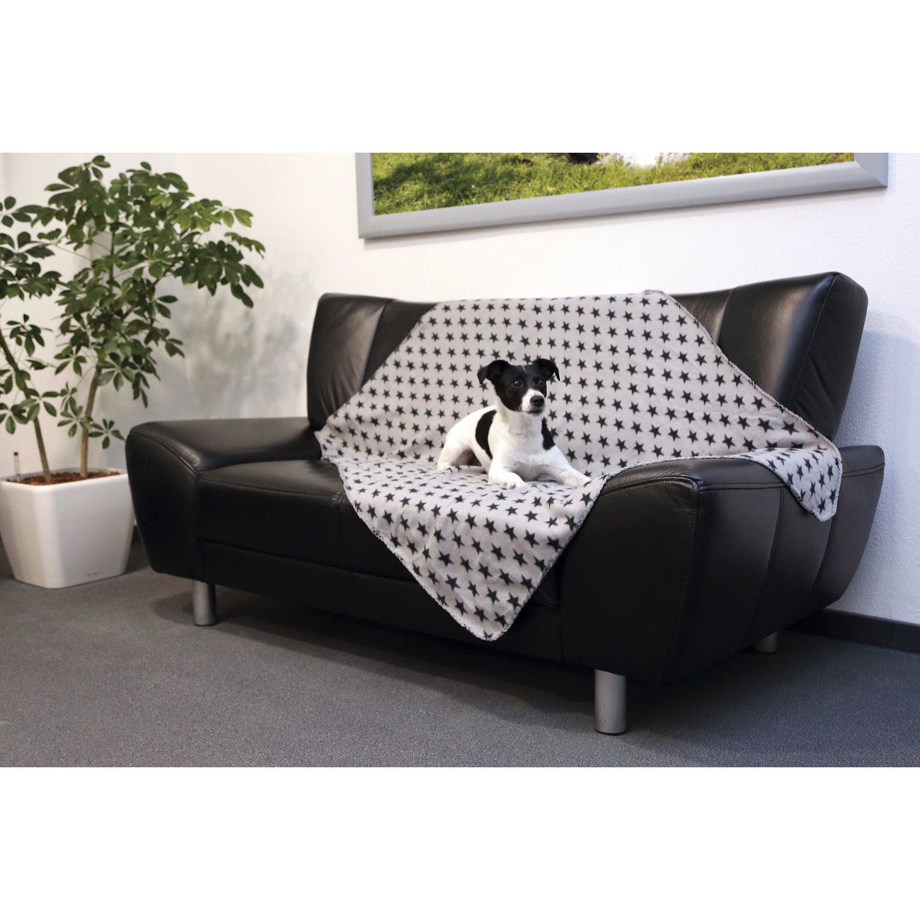 Hundedecke Stella Bild 6