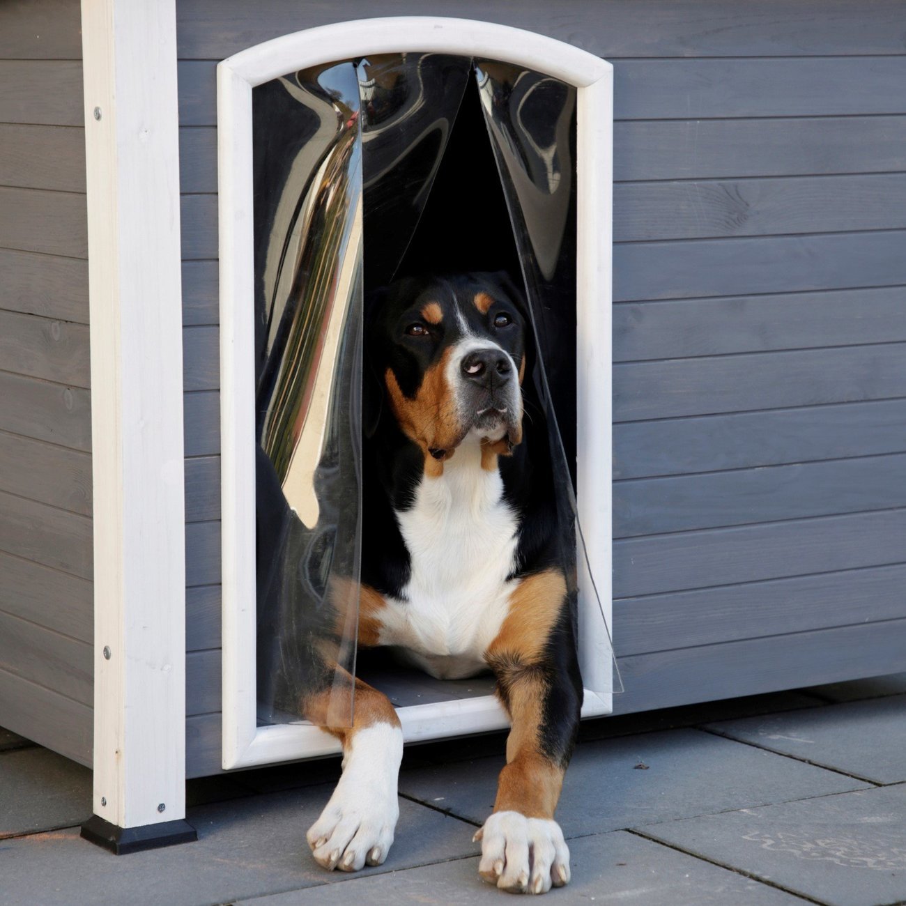 Hundehütte Kenny aus Holz Bild 4