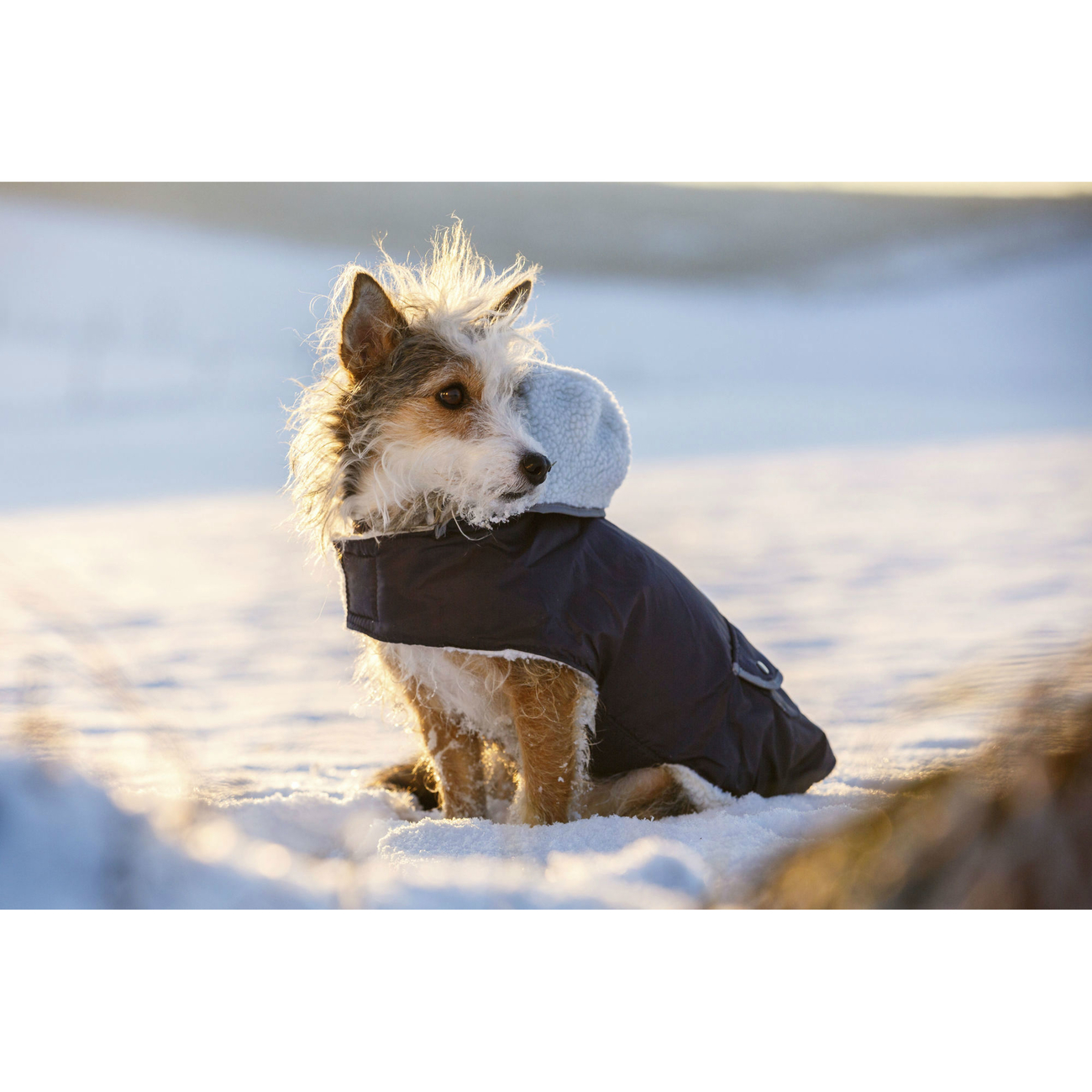 Kerbl Hundemantel TEDDY Bild 2