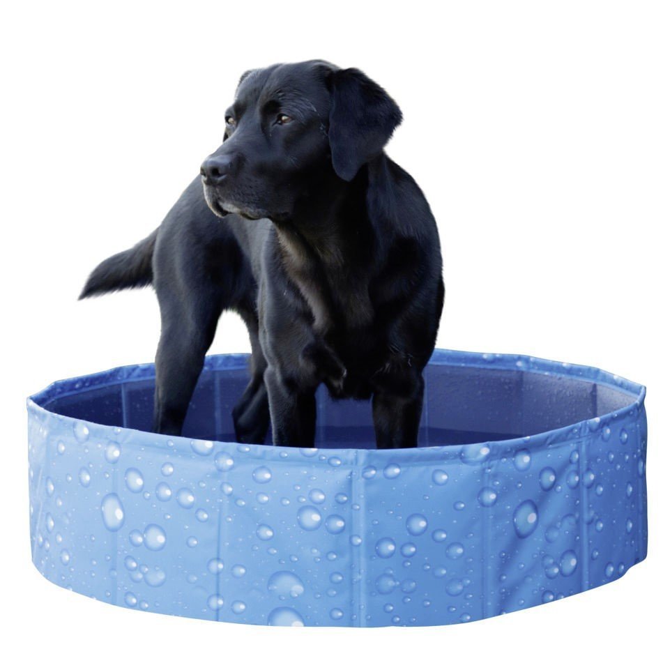 Hundepool Bubble Bild 3