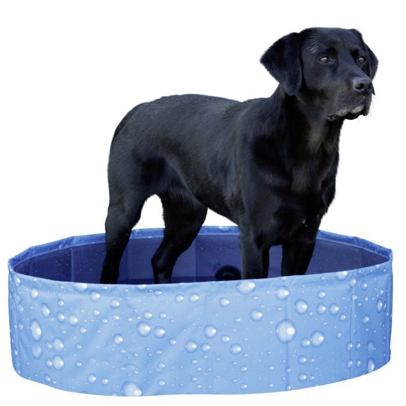 Hundepool Bubble Bild 5