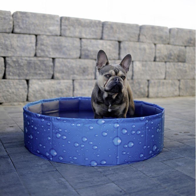 Hundepool Bubble Bild 7