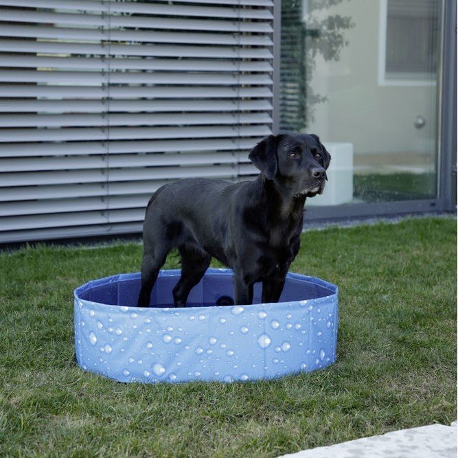 Hundepool Bubble Bild 6