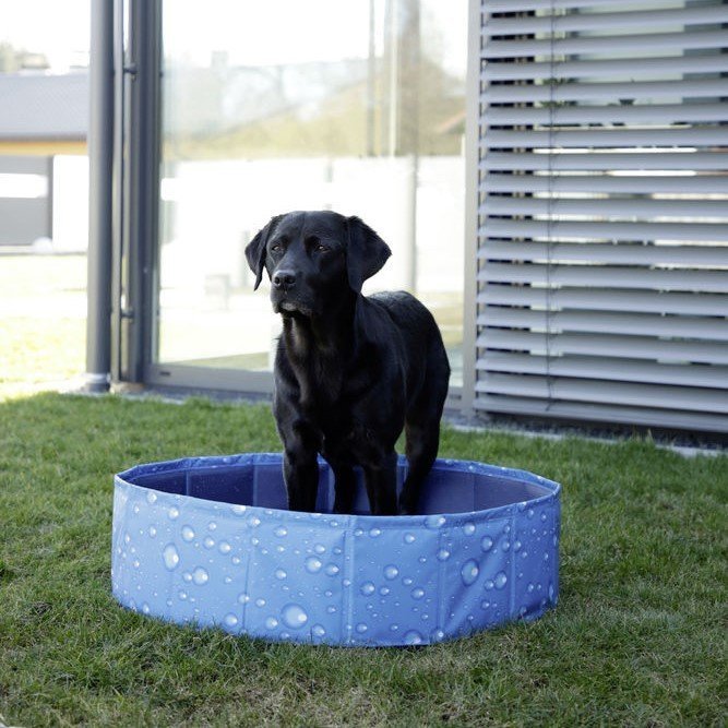 Hundepool Bubble Bild 9